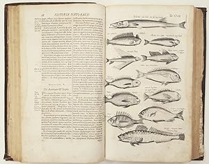 Historiae Naturalis de piscibus et cetis libri V. / Historiae naturalis de Exanguibus aquaticis l...