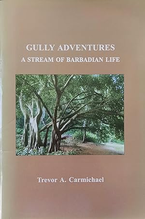 Gully Adventures: A Stream Of Barbadian Life