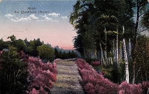 Bild des Verkufers fr Heide bei Quickborn (Holst). Ansichtskarte in farbigem Lichtdruck. Unleserlich abgestempelt, um 1925. zum Verkauf von Antiquariat Heinz Tessin