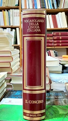 Il Vocabolario Della Lingua Italiana Treccani Il Conciso