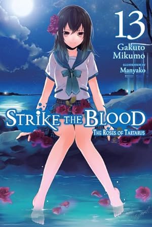 Bild des Verkufers fr Strike the Blood, Vol. 13 (light novel) zum Verkauf von Smartbuy