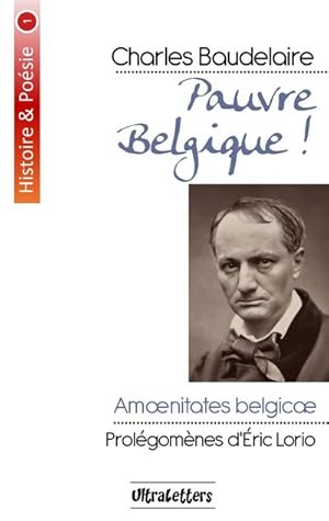 Image du vendeur pour Pauvre Belgique ! : Amnitates Belgic mis en vente par Smartbuy