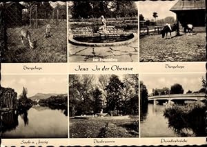 Bild des Verkufers fr Ansichtskarte / Postkarte Jena in Thringen, Oberaue, Tiergehege, Froschknig, Saale, Jenzig, Tierbrunnen, Paradiesbrcke zum Verkauf von akpool GmbH