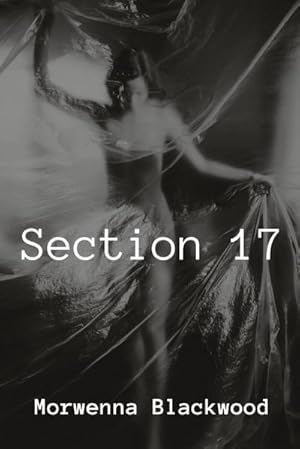 Seller image for Section 17 for sale by Smartbuy