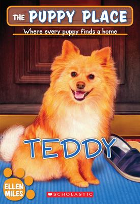Imagen del vendedor de Teddy (Paperback or Softback) a la venta por BargainBookStores