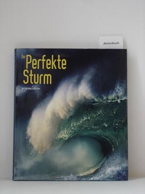 Seller image for Der perfekte Sturm. for sale by Schuebula