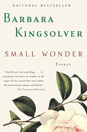 Immagine del venditore per Small Wonder: Essays venduto da WeBuyBooks
