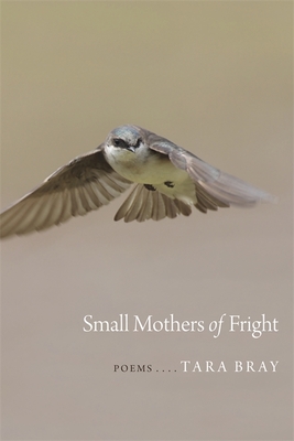 Immagine del venditore per Small Mothers of Fright: Poems (Paperback or Softback) venduto da BargainBookStores