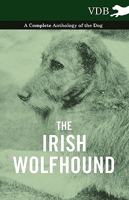 Seller image for The Irish Wolfhound - A Complete Anthology of the Dog (Paperback or Softback) for sale by BargainBookStores