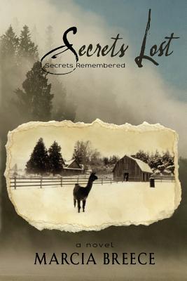 Bild des Verkufers fr Secrets Lost: Secrets Remembered (Paperback or Softback) zum Verkauf von BargainBookStores