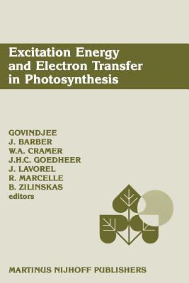 Seller image for Excitation Energy and Electron Transfer in Photosynthesis: Dedicated to Warren L. Butler (Paperback or Softback) for sale by BargainBookStores