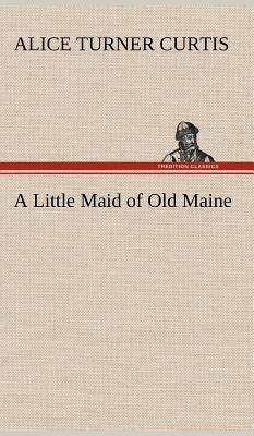 Immagine del venditore per A Little Maid of Old Maine (Hardback or Cased Book) venduto da BargainBookStores