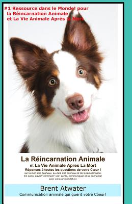 Immagine del venditore per La Reincarnation Animales et La Vie Animale Apres La Mort: Reponses a toutes les Questions de votre Coeur! (Paperback or Softback) venduto da BargainBookStores