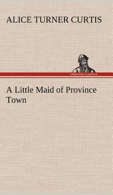 Immagine del venditore per A Little Maid of Province Town (Hardback or Cased Book) venduto da BargainBookStores