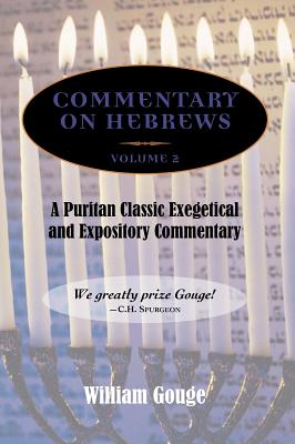 Immagine del venditore per Commentary on Hebrews: Exegetical and Expository - Vol. 2 (8-13) (Hardback or Cased Book) venduto da BargainBookStores