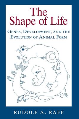 Image du vendeur pour The Shape of Life: Genes, Development, and the Evolution of Animal Form (Paperback or Softback) mis en vente par BargainBookStores