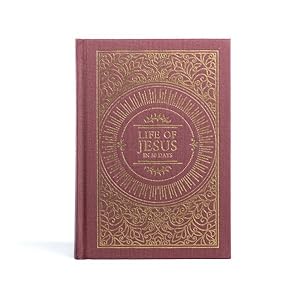 Image du vendeur pour Holy Bible : Christian Standard Bible: Life of Jesus in 30 Days mis en vente par GreatBookPrices