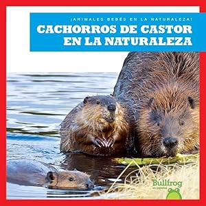 Imagen del vendedor de Cachorros de castor en la naturaleza/ Beaver Kits in the Wild -Language: Spanish a la venta por GreatBookPrices