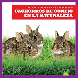 Imagen del vendedor de Cachorros de conejo en la naturaleza/ Rabbit Kits in the Wild -Language: Spanish a la venta por GreatBookPrices