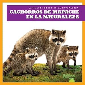 Imagen del vendedor de Cachorros de mapache en la naturaleza/ Raccoon Cubs in the Wild -Language: Spanish a la venta por GreatBookPrices