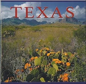 Imagen del vendedor de Texas (Paperback) a la venta por CitiRetail