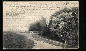 Bild des Verkufers fr Ansichtskarte Weddewarden, Nordseedeich am Schloss Morgenstern zum Verkauf von Bartko-Reher