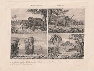 Elephantenjagd, Vogelfang. Original-Stahlstich mit 4 Darstellungen aus Reichenbach, Anton B.: "Ne...