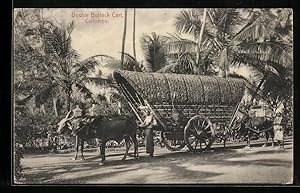 Ansichtskarte Colombo, Double Bullock Cart