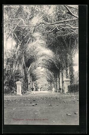 Ansichtskarte Singapore, Entrance Botanical Garden