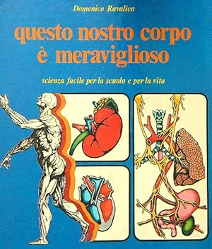 Seller image for Questo nostro corpo e' meraviglioso for sale by Librodifaccia