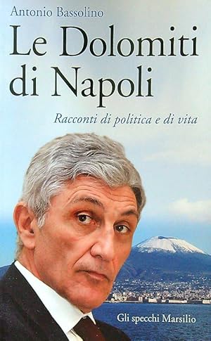 Bild des Verkufers fr Le Dolomiti di Napoli zum Verkauf von Librodifaccia