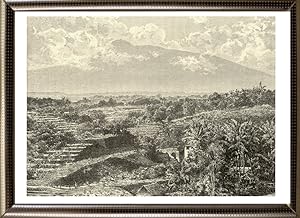 Javanese Landscape View of Mount Gede seen from Buitenzorg,1800s Antique print
