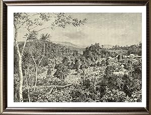 A Coffee plantation in Perang Regencies of Java,1800s Antique print