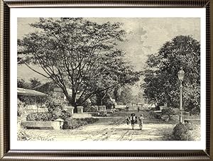 1800s Antique print of a Street View in Batavia,Indonesia