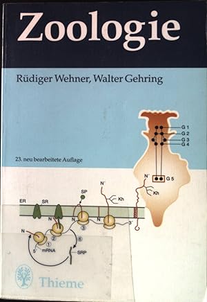 Bild des Verkufers fr Zoologie. zum Verkauf von books4less (Versandantiquariat Petra Gros GmbH & Co. KG)