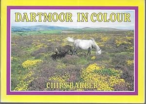 Dartmoor in Colour