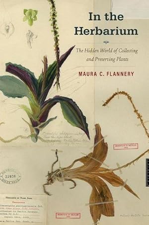 Bild des Verkufers fr In the Herbarium : The Hidden World of Collecting and Preserving Plants zum Verkauf von AHA-BUCH GmbH