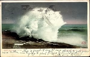 Bild des Verkufers fr Ansichtskarte / Postkarte Santa Cruz Kalifornien USA, Alter Mann des Meeres zum Verkauf von akpool GmbH