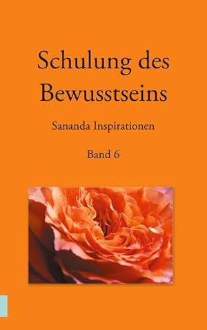 Bild des Verk�ufers f�r Schulung des Bewusstseins - Sananda Inspirationen: Band 6 : Band 6 zum Verkauf von AHA-BUCH GmbH