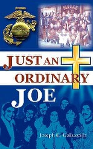 Seller image for Just an Ordinary Joe for sale by Smartbuy
