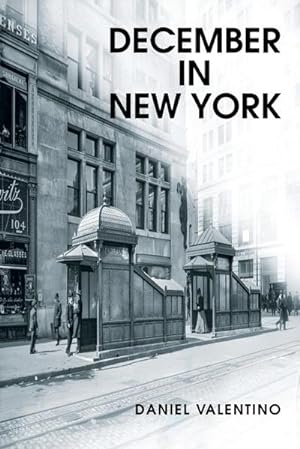 Seller image for December in New York for sale by Smartbuy