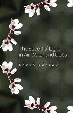 Immagine del venditore per The Speed of Light in Air, Water, and Glass venduto da Smartbuy