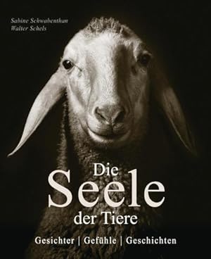 Seller image for Die Seele der Tiere. Gesichter. Gefhle. Geschichten for sale by BuchWeltWeit Ludwig Meier e.K.