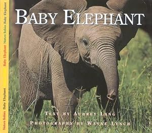 Image du vendeur pour Baby Elephant (Nature Babies) mis en vente par Reliant Bookstore