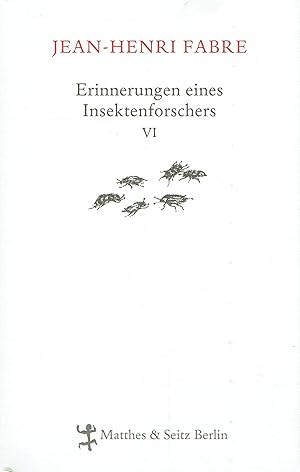 Erinnerungen eines Insektenforschers VI.