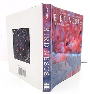 Bird Nests