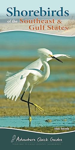 Bild des Verkufers fr Shorebirds of the Southeast & Gulf States: Your Way to Easily Identify Shorebirds zum Verkauf von moluna