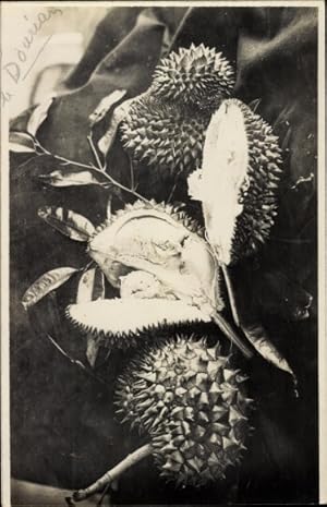 Foto Ansichtskarte / Postkarte Durianfrüchte, Durianbaum, Obst