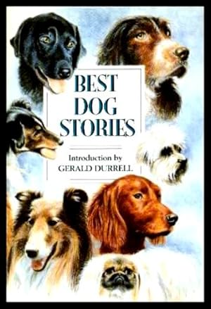 BEST DOG STORIES