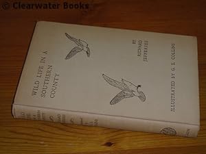 Wild Life in a Southern County. With drawings by C.E.Collins and a new introduction by William Be...